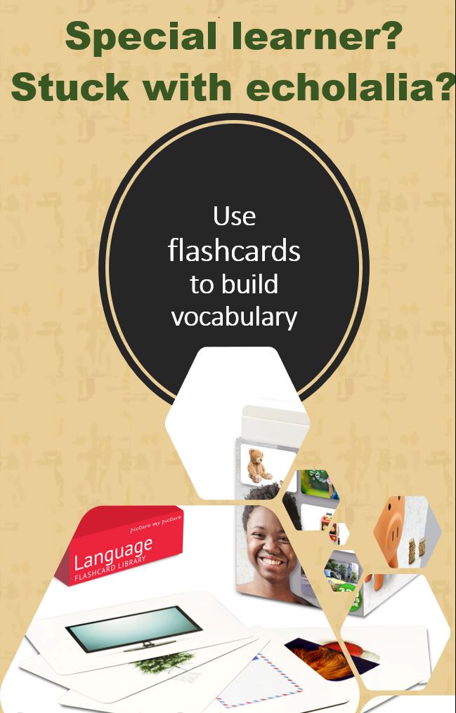 flashcard_vocabulary